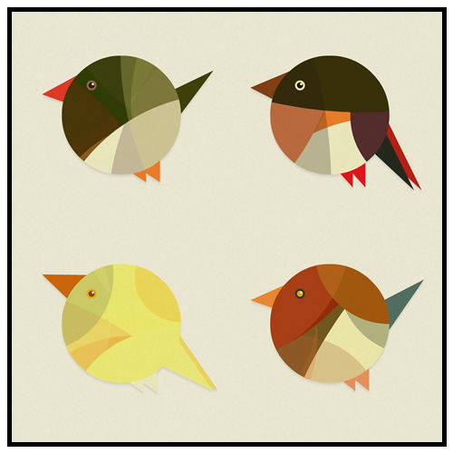 on hyperbolic geometry and birds